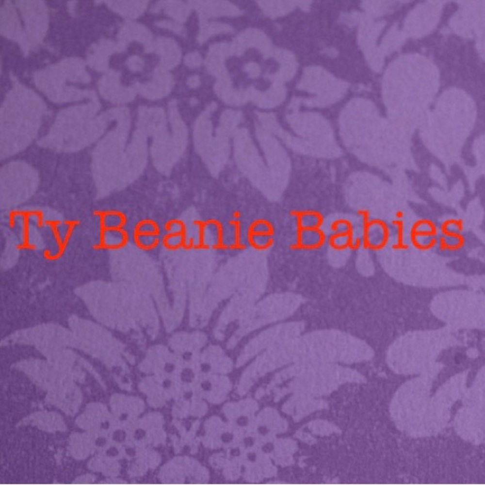 Ty Beanie Babies ❤️